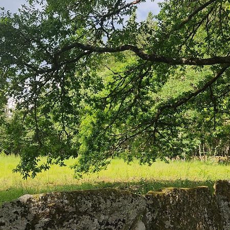 Witericus Hospedaxe Villa Guitiriz Dış mekan fotoğraf