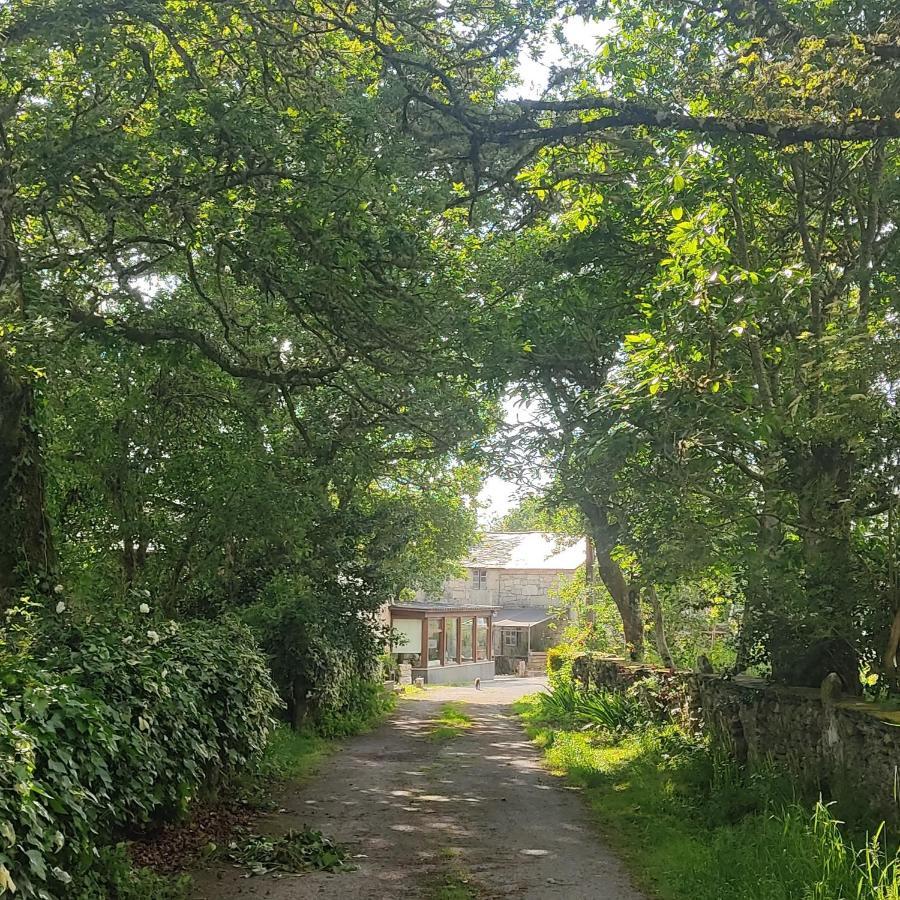 Witericus Hospedaxe Villa Guitiriz Dış mekan fotoğraf