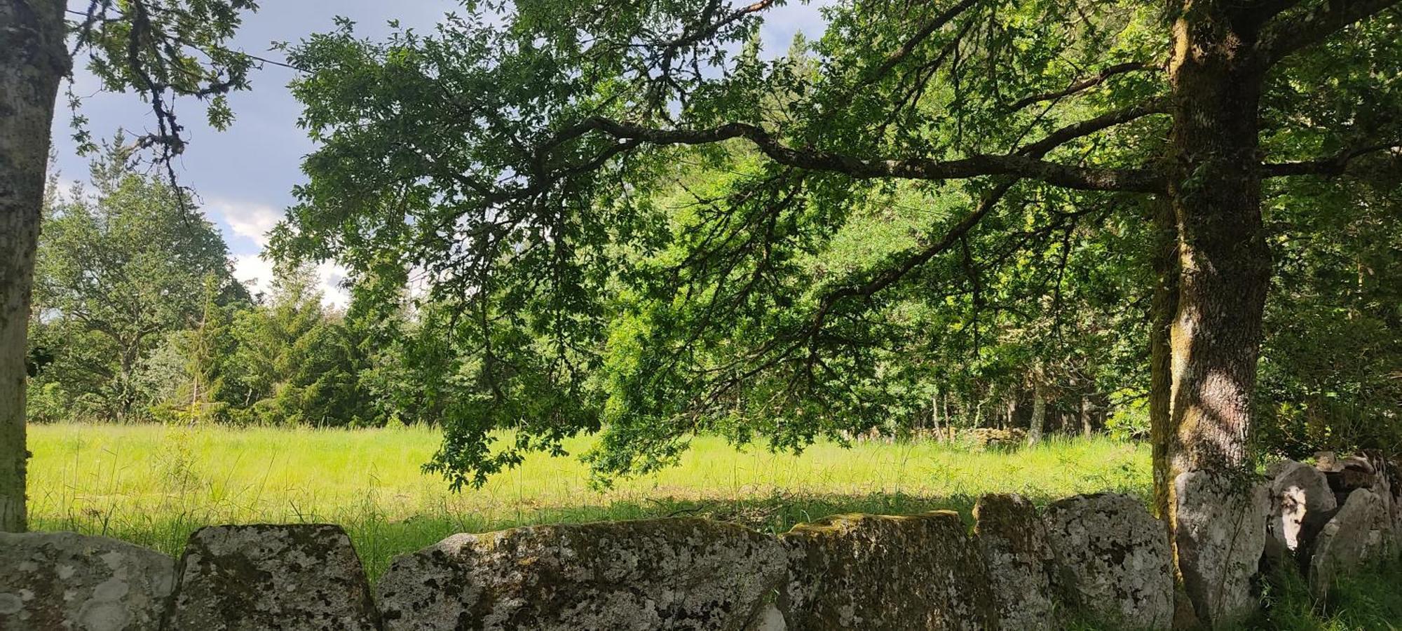 Witericus Hospedaxe Villa Guitiriz Dış mekan fotoğraf